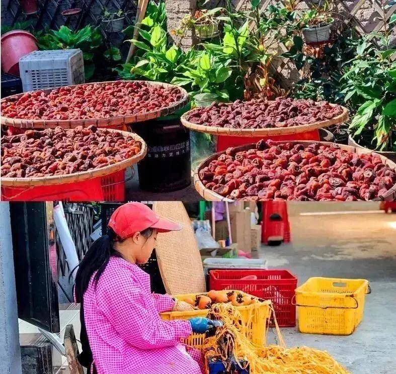 【广州三大秋色】11月15日丨上罗千亩柿子海+艾米稻香小镇+罗洞工匠小镇