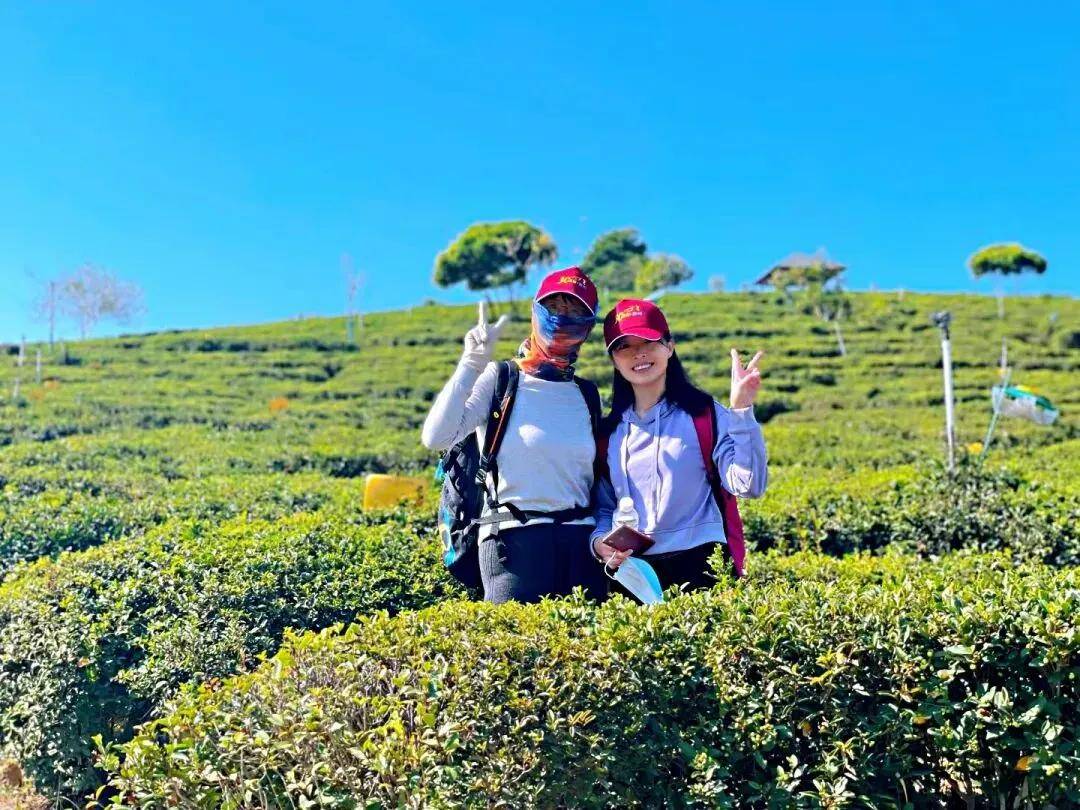 11月09日-【第十一届惠州30公里】全民健身,第十一届惠州30公里徒步活动开放报名!