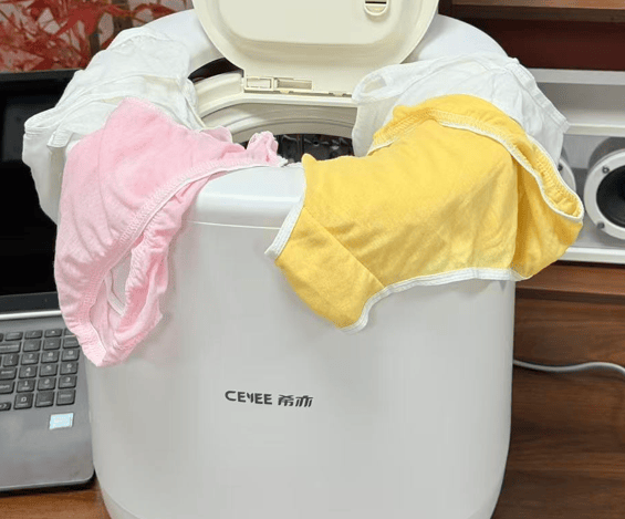 双十一有什么小家电值得买？2025双十一小家电排行榜，实用又可靠