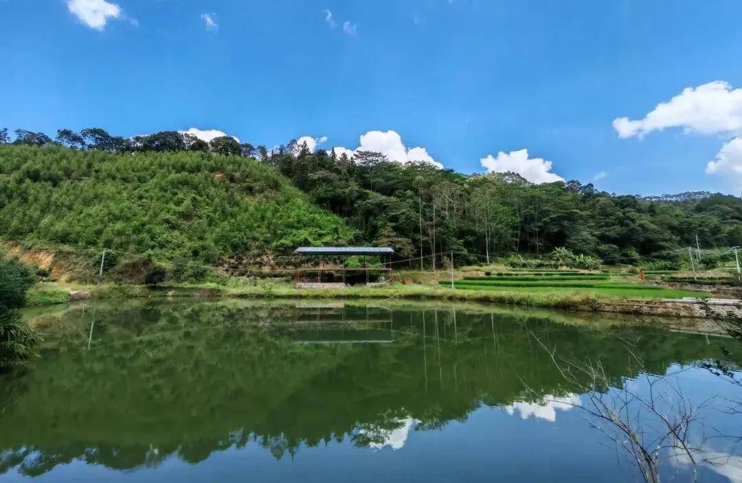 11月09日-【第十一届惠州30公里】全民健身,第十一届惠州30公里徒步活动开放报名!