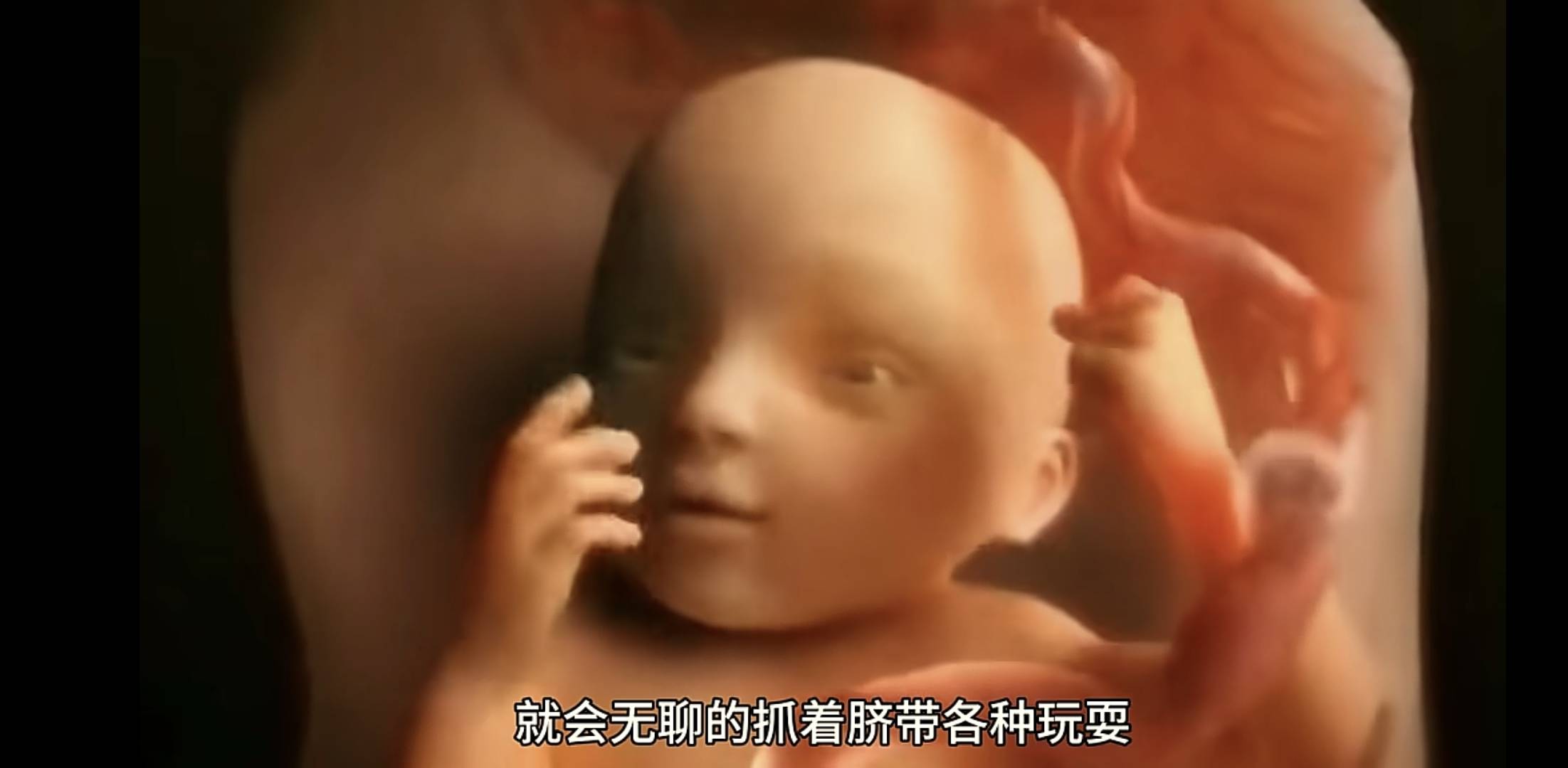 宝宝在妈妈肚子里会无聊吗？一组图告诉你胎宝在子宫里很欢乐