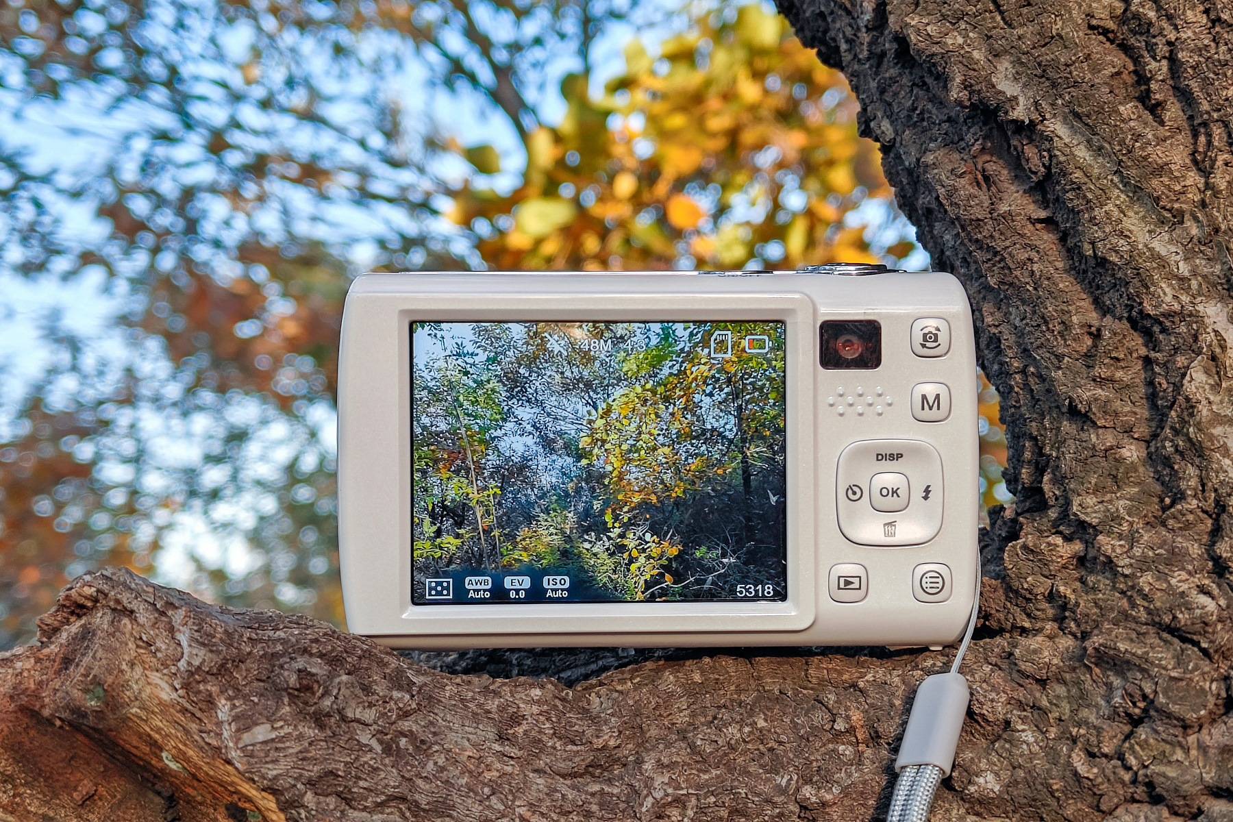 松典VE418,大底高像素,国产卡片机画质越级新标杆