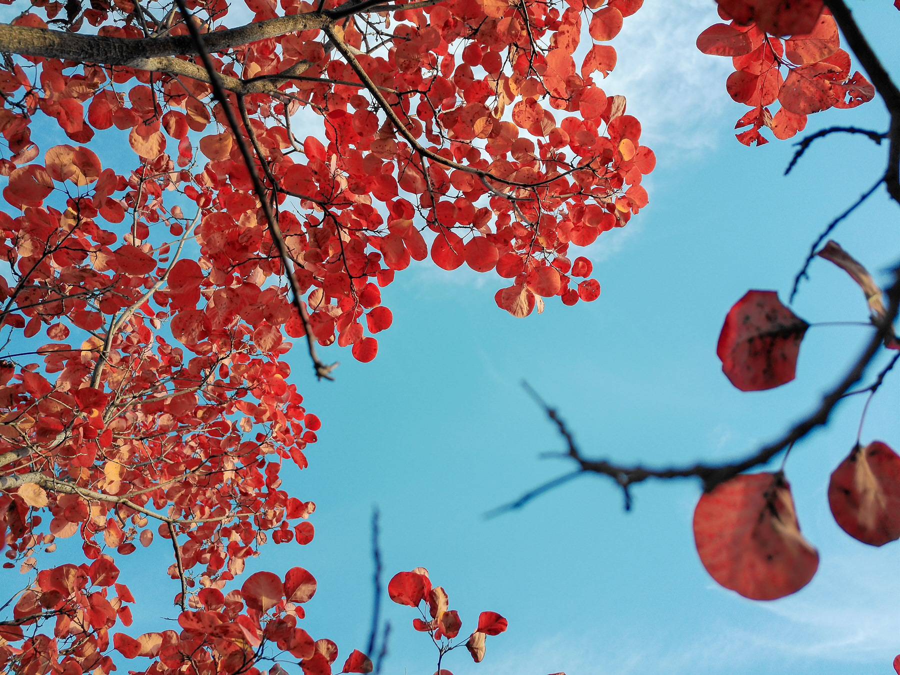 松典VE418,大底高像素,国产卡片机画质越级新标杆