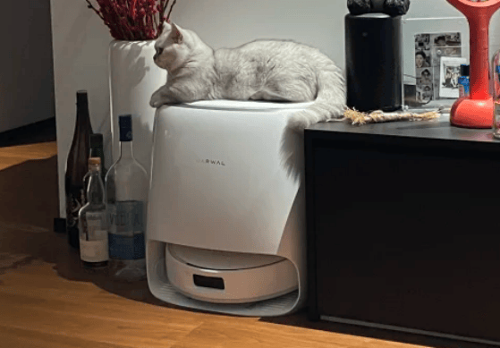 双十二有哪些东西便宜？盘点2025年十款高性价比生活日常好物