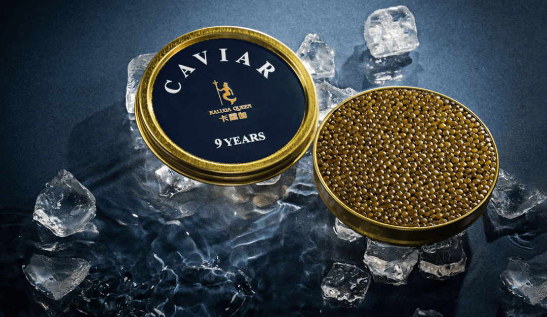 鱼子酱龙头鲟龙科技转战港股:鱼子酱在国外遭疯抢,国内却“遇冷”