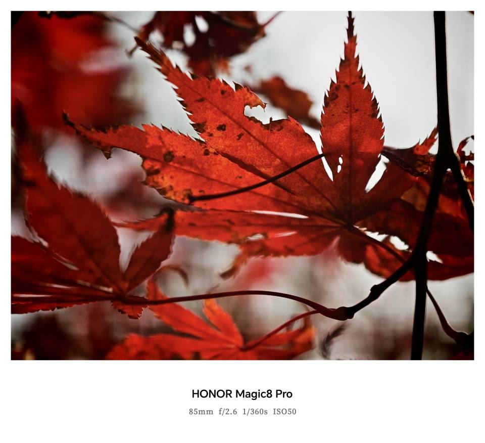 不吹不黑，荣耀Magic8 Pro真实体验分享来了