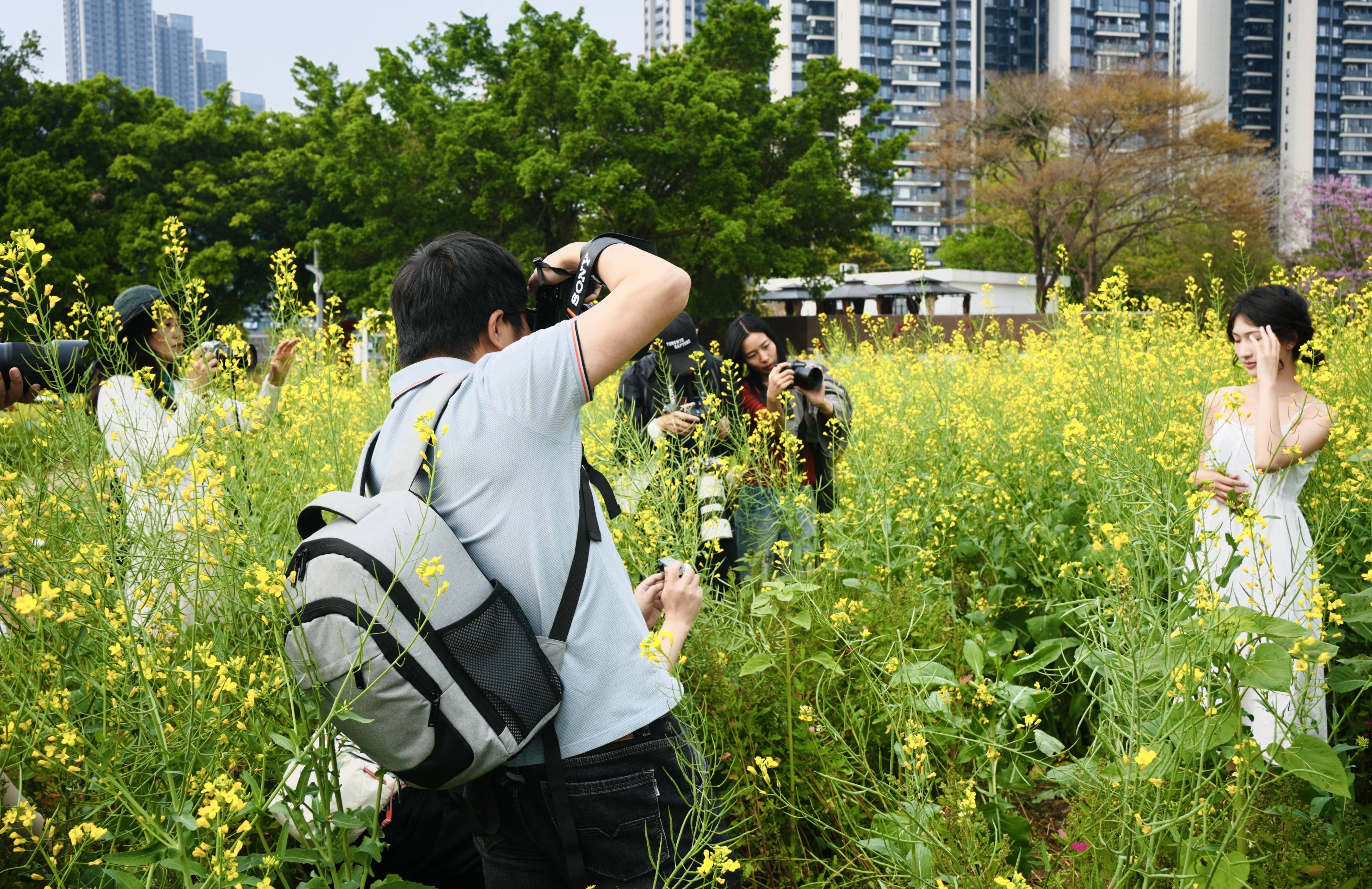 學攝影剪輯去哪里_攝影剪輯培訓班_攝影師培訓學校