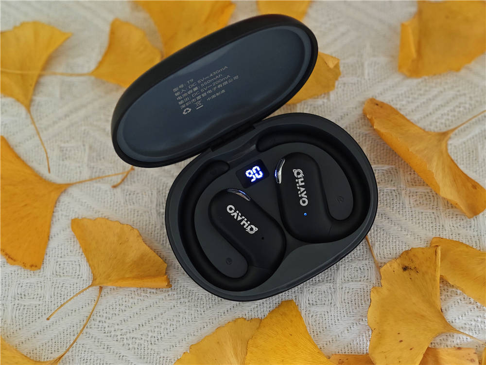 低音澎湃、无感佩戴、超长续航,雷登T9值得拥有