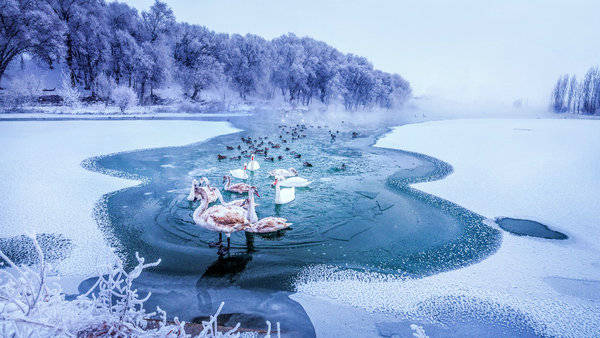 天山河谷·美哉伊犁丨8折优惠邀您住进雪原里的春天！