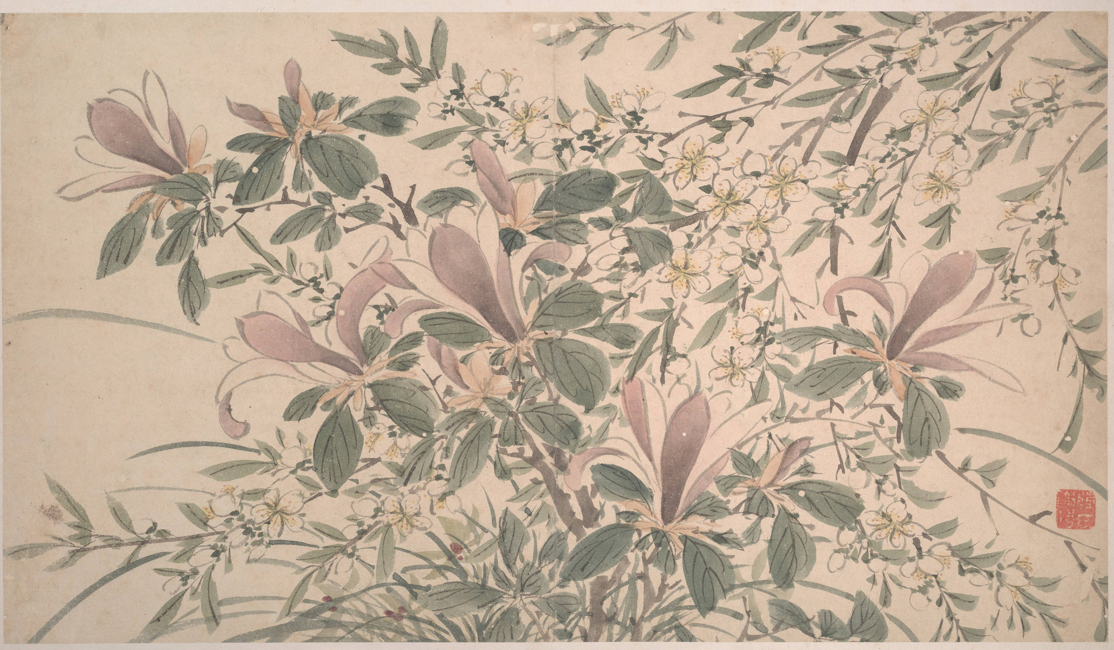 陈淳《花卉图》:一笔写花开,把花鸟画从宫廷请回书房