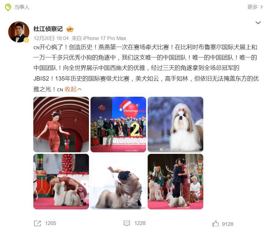 霍思燕爱犬在国际比赛夺冠，杜江发文：开心疯了！创造历史！ 插图5
