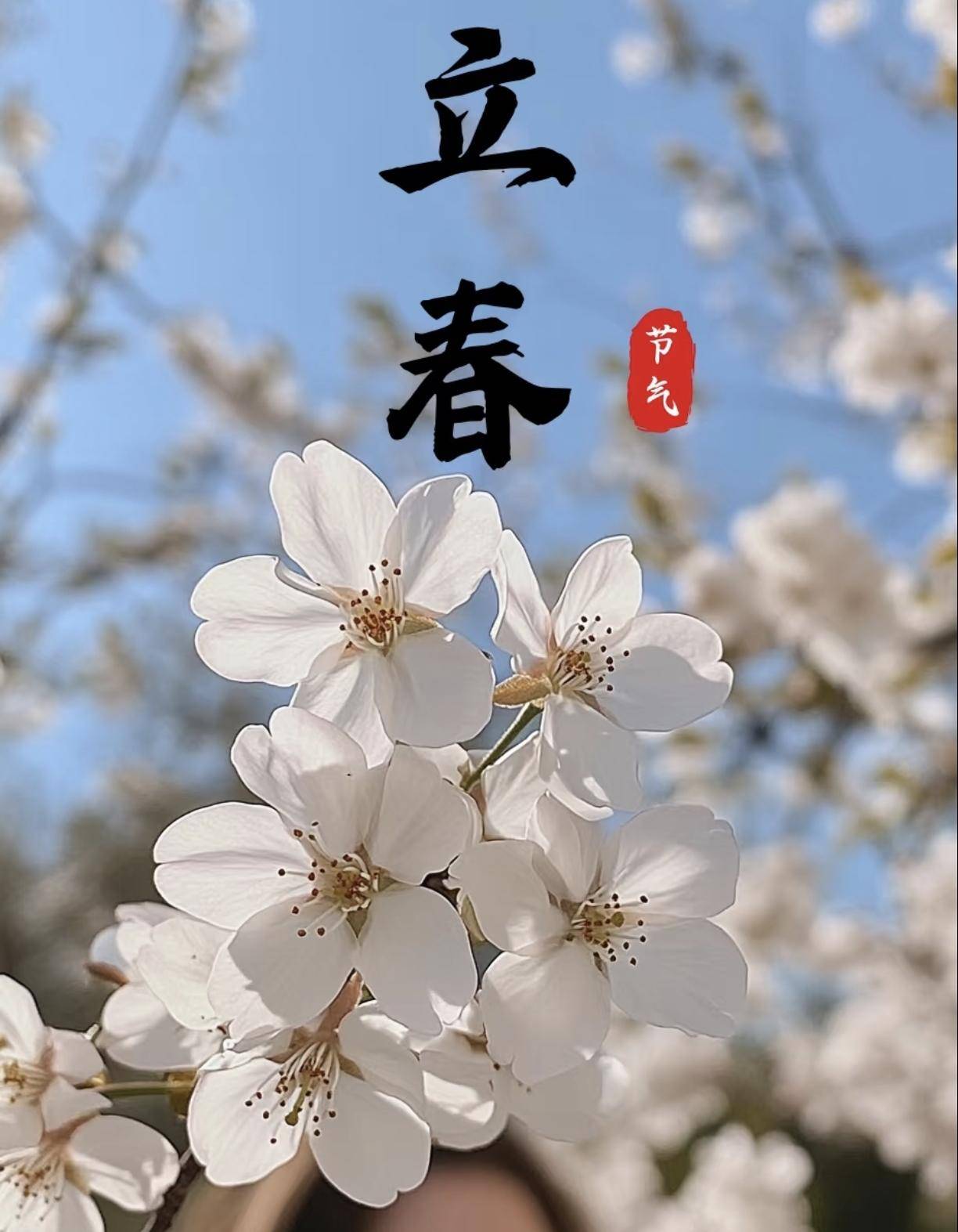 立春除夕前春打六九头2026年立春不一般有啥说法?