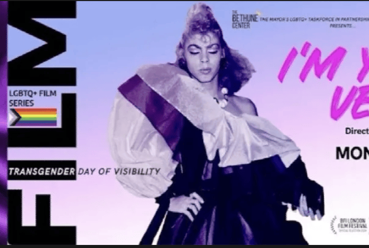 痛楚,怪诞与温柔:2025年年度酷儿与跨性别电影