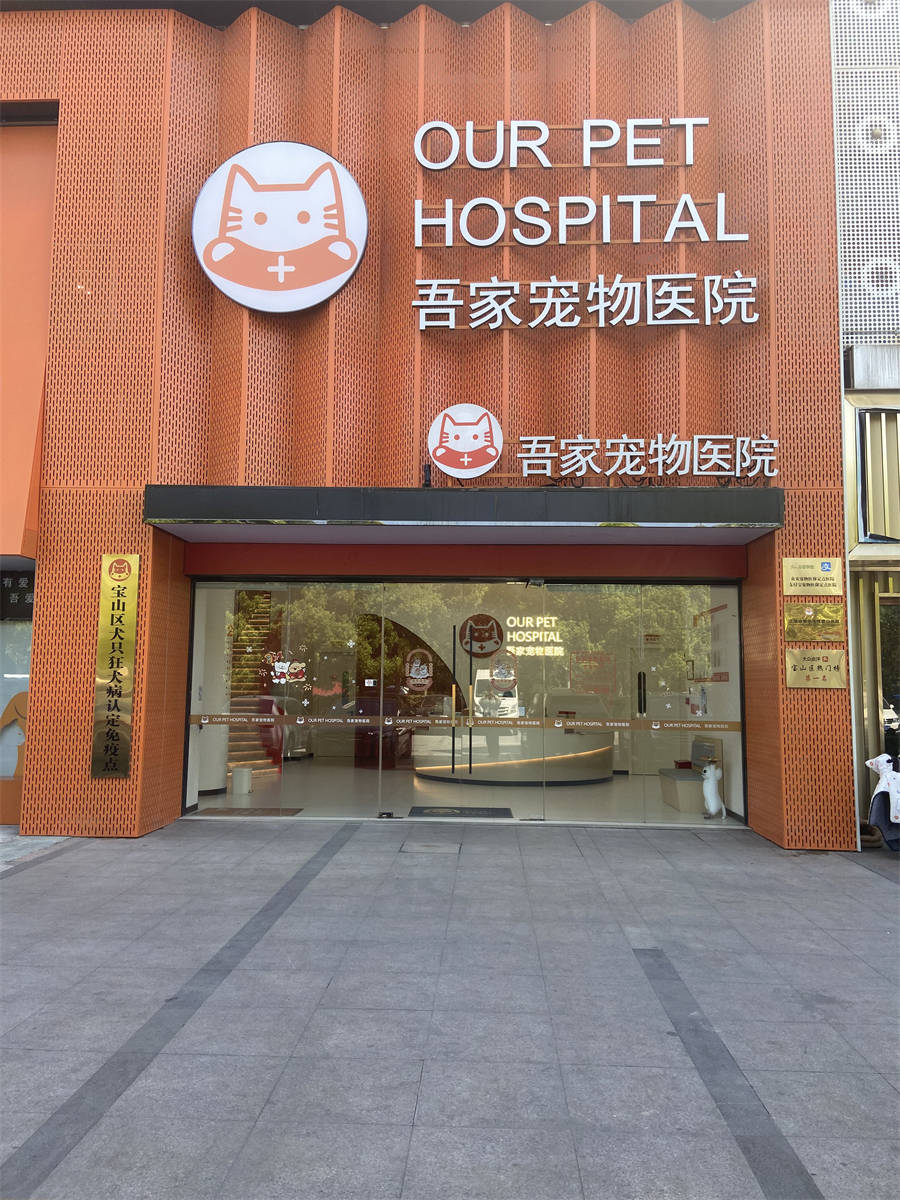 博爱医院检查陪护加挂号重症转诊无缝对接，诊疗不间断的简单介绍