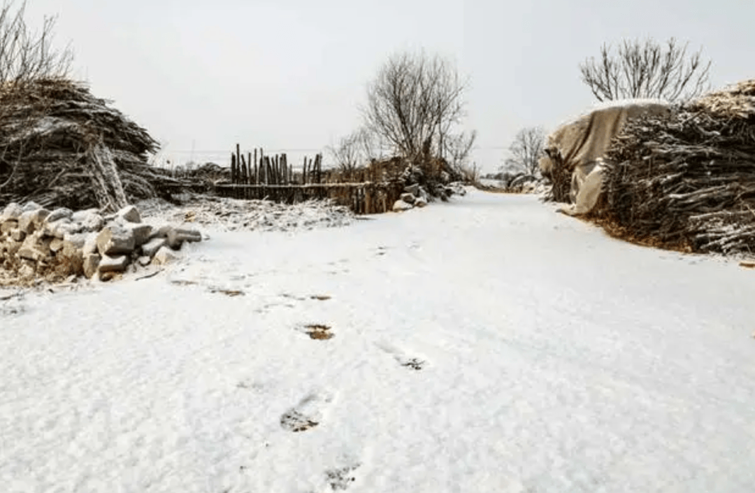 ԭ�� ������С������ů������С�����ں���������С�����ڶ��Ż������ţ������䲻�䣿