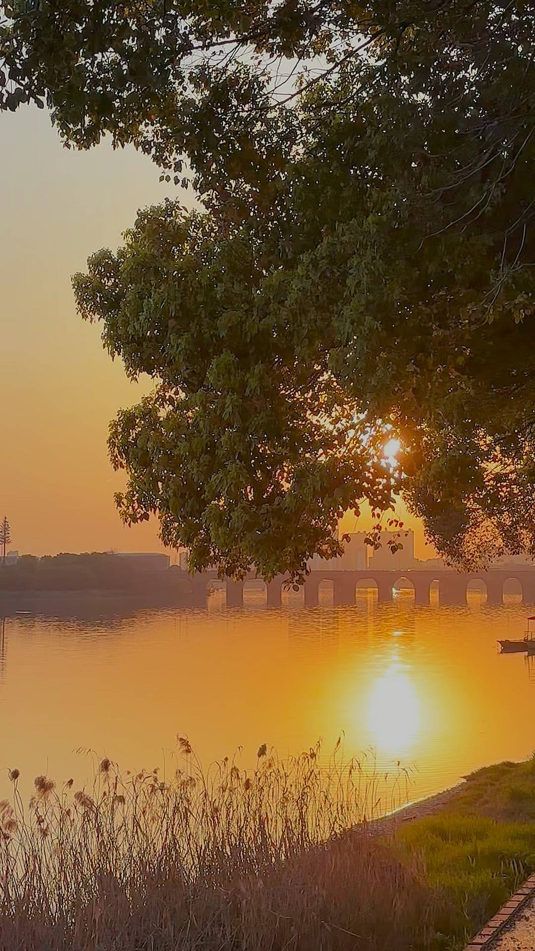今日腾讯——海南智慧社区:便民服务平台