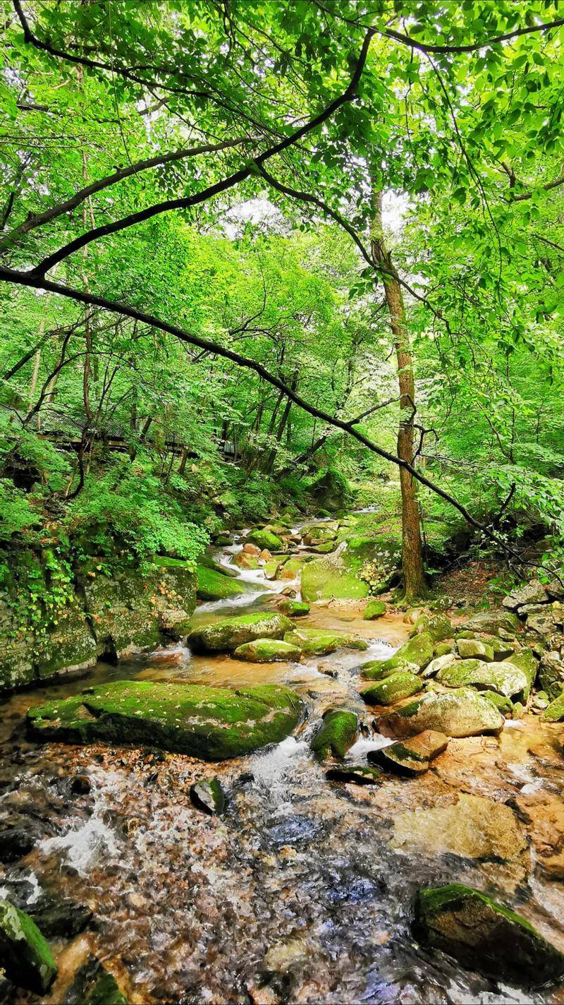 今日播报——成都茶文化体验：一盏清茶品人生