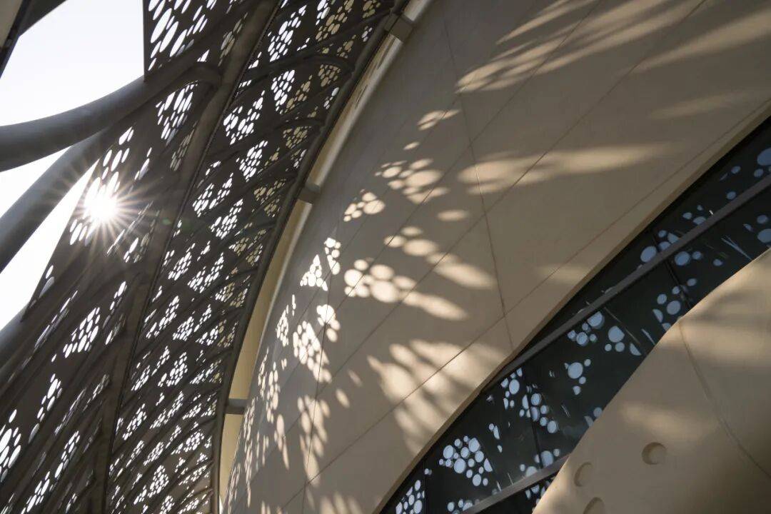  横琴3.6万㎡“莲花觅境”夜景闪亮登场！(图6)