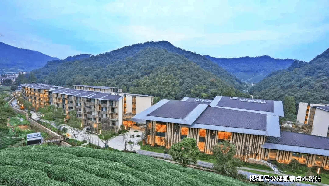 西湖茶山，康养之巅：泰康之家·大清谷，长寿时代的杭州答案 —杭州首个旗舰医养社区，重新定义江南高品质养老