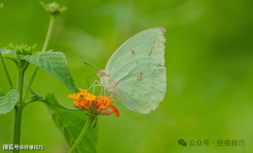 原创            上热下寒有办法，四九天揉开“三窝”，气顺了全身都舒服