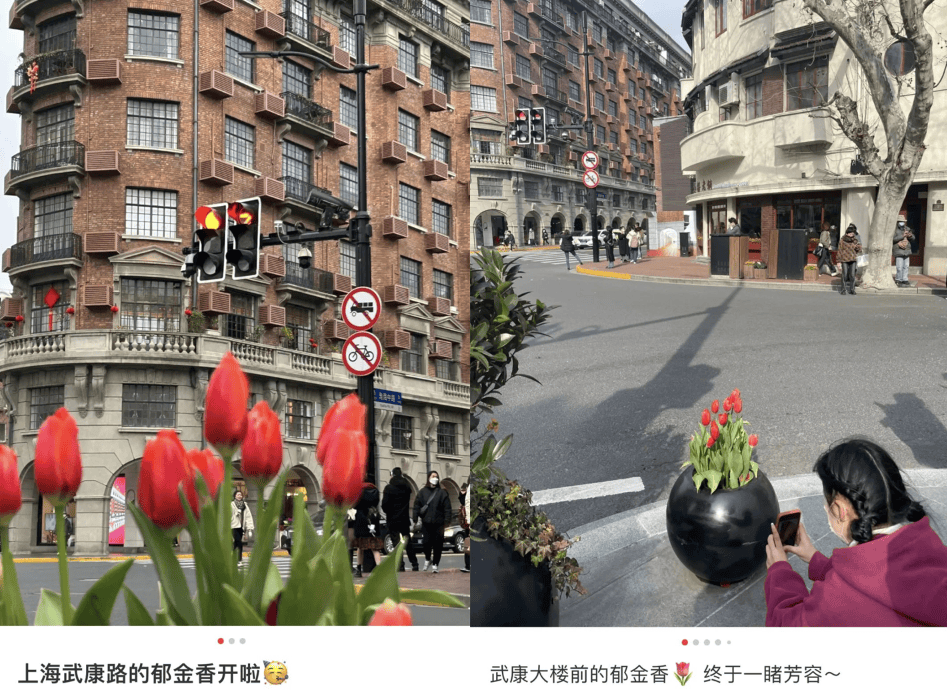 老辈子拍照，为啥让巴黎旅游变成了村口打卡 -华闻时空