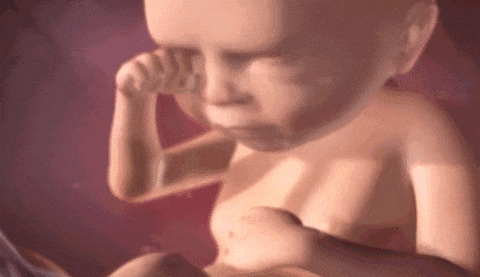 胎儿在肚子里会不会无聊？其实不然......