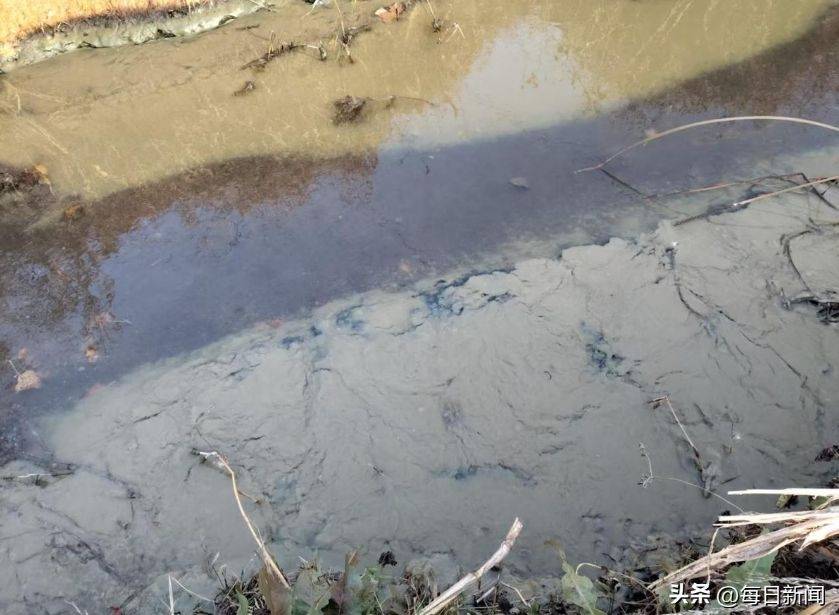 青岛即墨的监管困局:普东水库疑成排污粪坑 污水直排库区(图4)