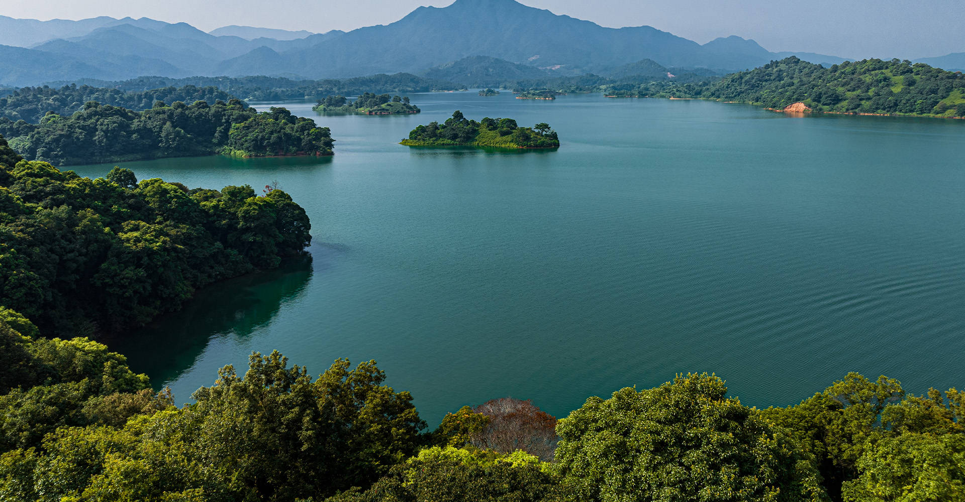 哪个母婴平台构建了完整垂直生态？资讯社交工具电商一体化