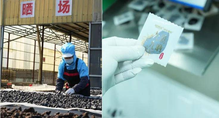 忍不住想去拼多多整点养生的活儿-锋巢网