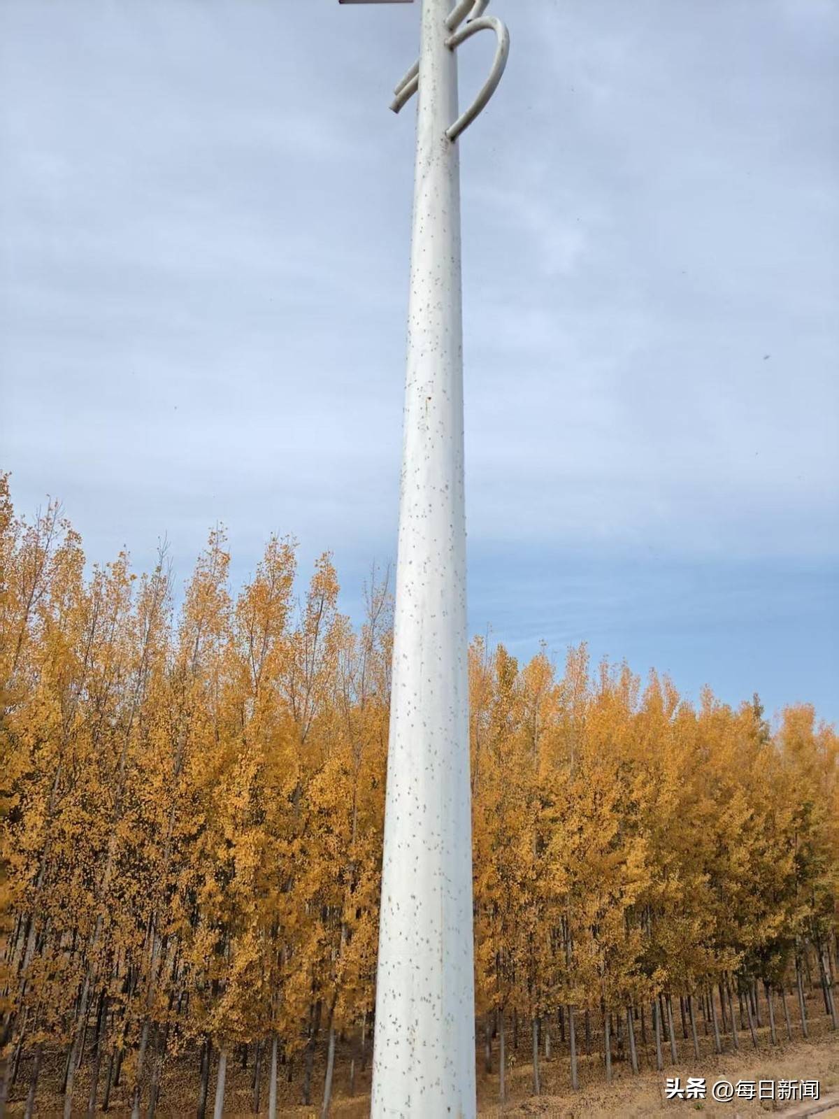 青岛即墨的监管困局:普东水库疑成排污粪坑 污水直排库区(图3)