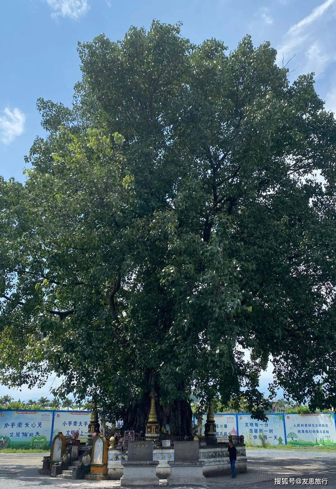 图片[10]-以为到了泰国，这座边境小城网上几乎0攻略，春节去玩暖和又不挤 -华闻时空