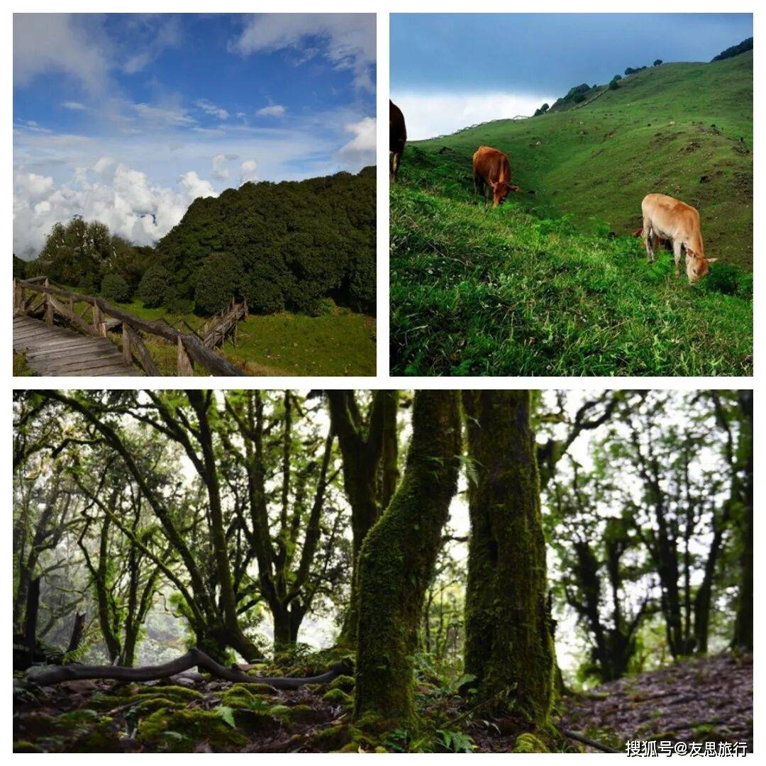 图片[13]-以为到了泰国，这座边境小城网上几乎0攻略，春节去玩暖和又不挤 -华闻时空