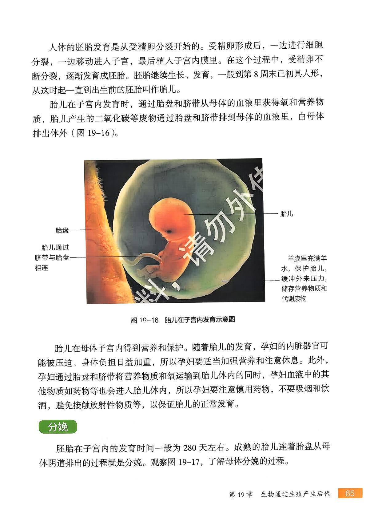 2026苏科版八年级生物下册电子课本