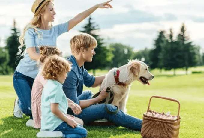 除螨仪哪个牌子的好用质量好？除螨仪什么牌子好？断层爆款除螨仪10大品牌排行榜最新，闭眼入