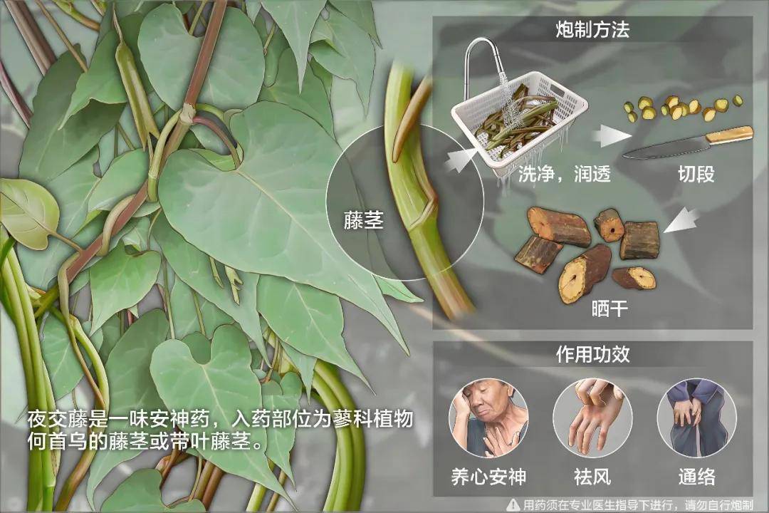原创            肿瘤患者失眠？这3味中药泡脚，一觉到天亮