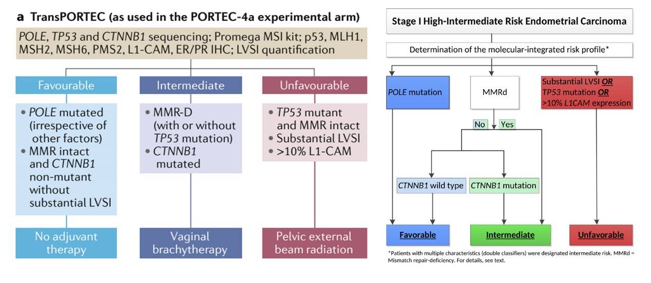 PORTEC-4a：子宫内膜癌治疗的分子精准诊疗转折点？