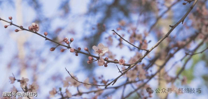 原创            立春前后，这个动作每天做1分钟！一通一补，做完浑身都轻松