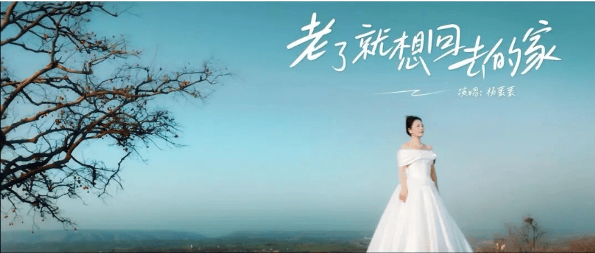 豫籍深圳歌手杨蒙蒙新歌《老了就想回去的家》引发游子共鸣