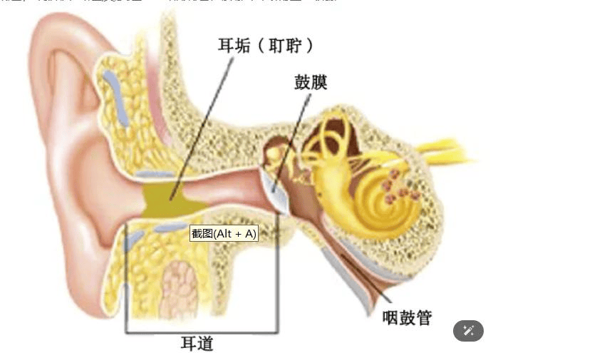 挖耳勺哪种好用？哪种材质的掏耳勺最好？自己掏耳屎正确方式