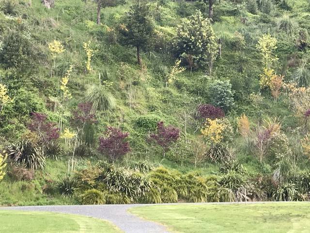 图片[2]-新西兰：一个适合慢下来生活的国家-华闻时空