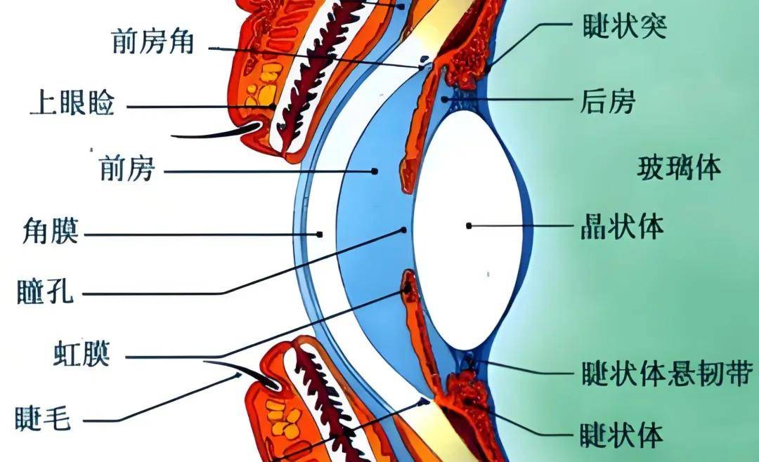 文章配图-1