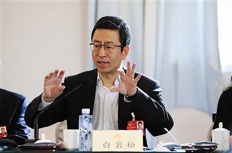 200元养老金难撑体面晚年:白岩松两会发声,直言农民养老金太低-图片7