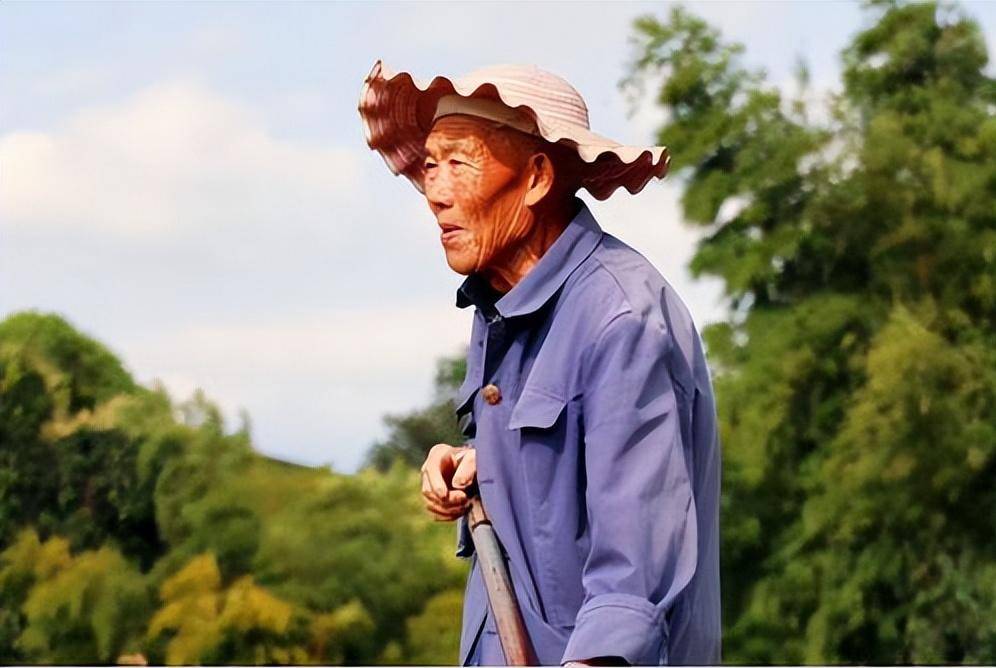 200元养老金难撑体面晚年:白岩松两会发声,直言农民养老金太低-图片3