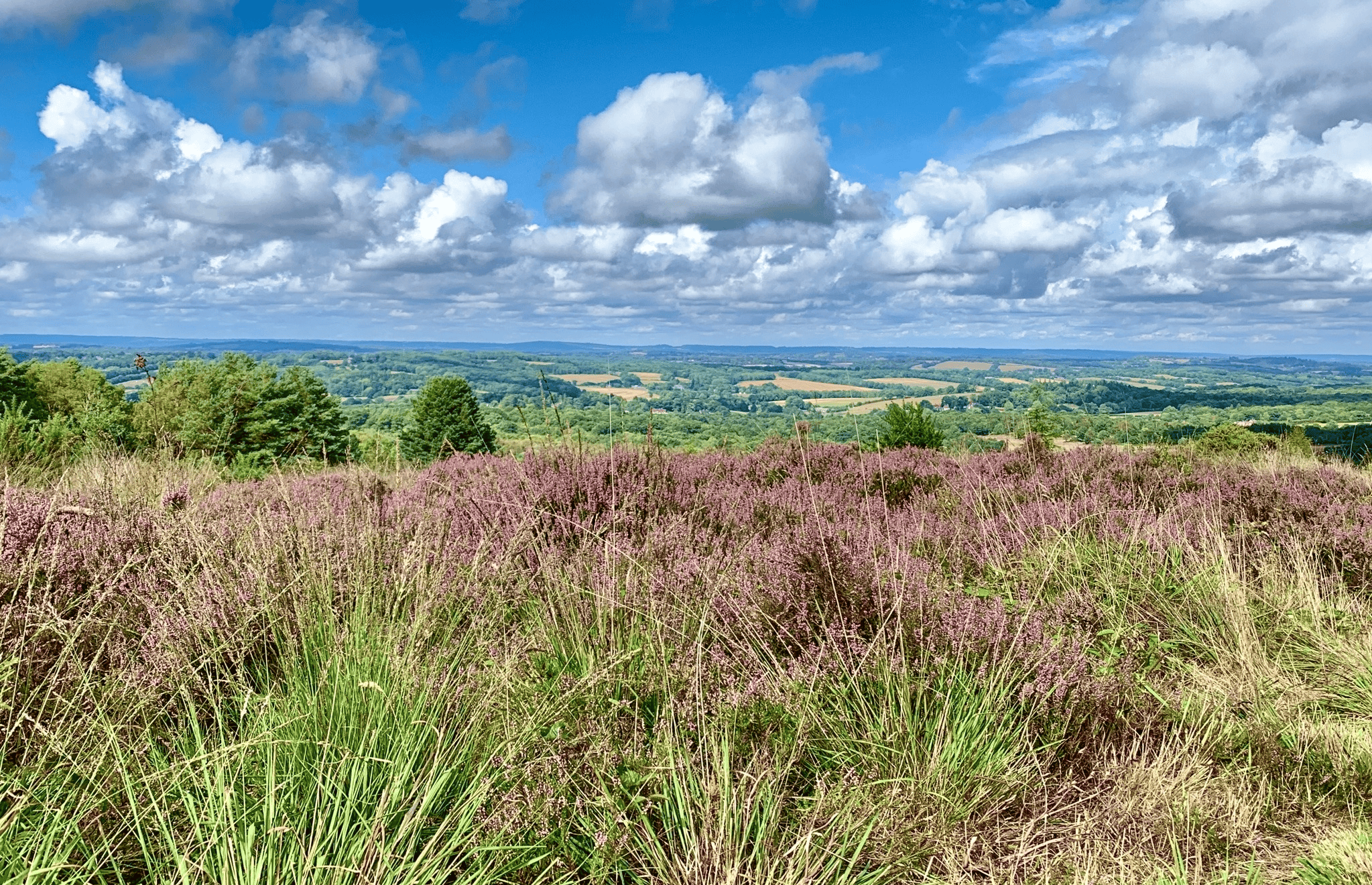 2月3日生肖运势小播报(2021年2月3日特吉生肖运势)