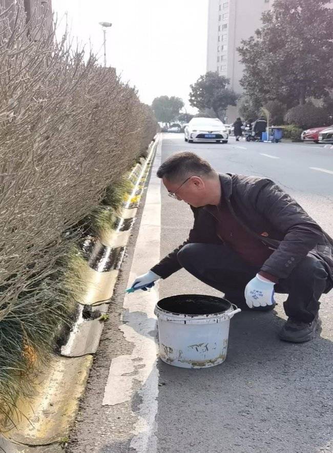 修文路社区民兵“上阵”助力保利梧桐语小区环境出新(图3)