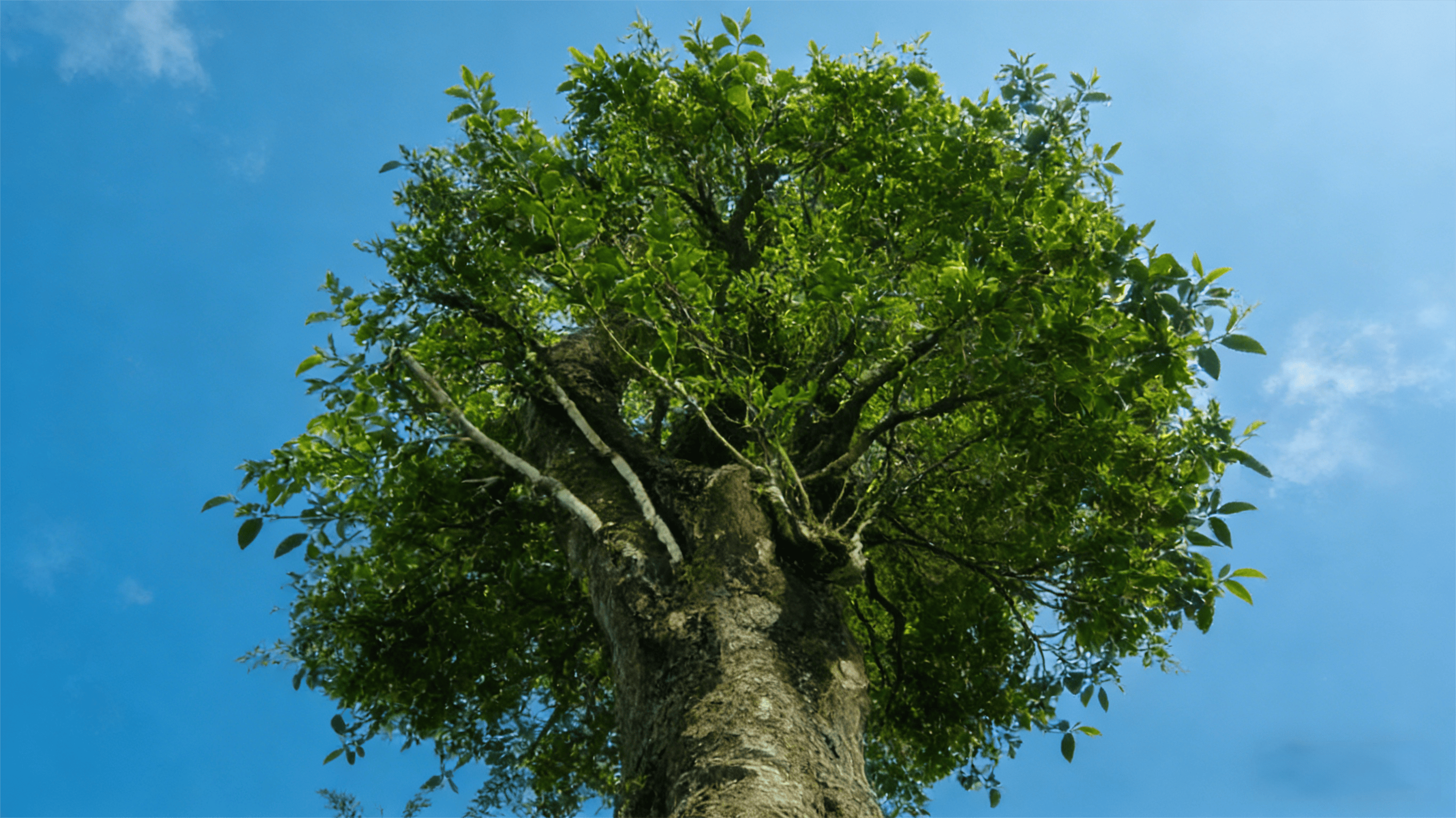 ���������е���������������Ұ��������衰�a�ϡ��ļ�ֵ�������г���Ŀ 