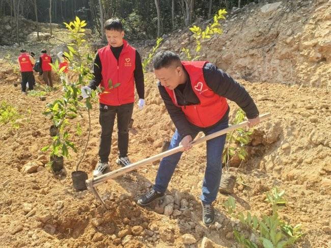 党建引领生态绿 银企共建植新苗(图1) 党建引领生态绿 银企共建植新苗(图1)