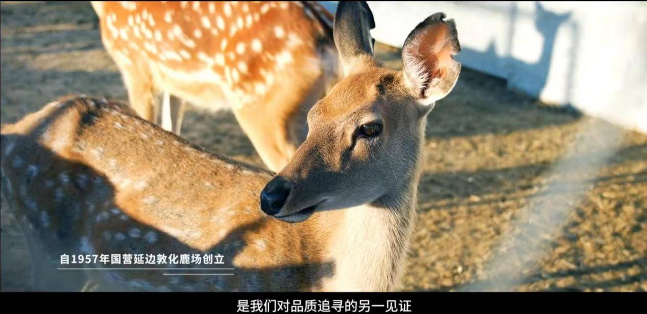 c5bdfa6735425d39b6c94c861815a8e8