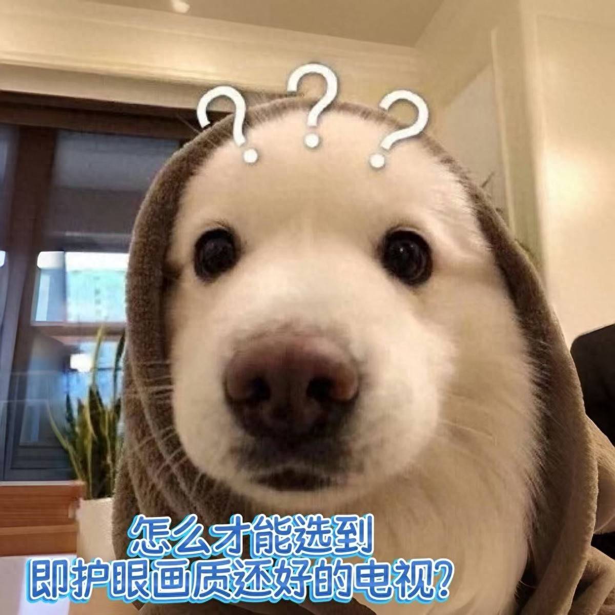 拒绝二选一！Q9M Pro护眼画质全拉满，才是真旗舰(图1)