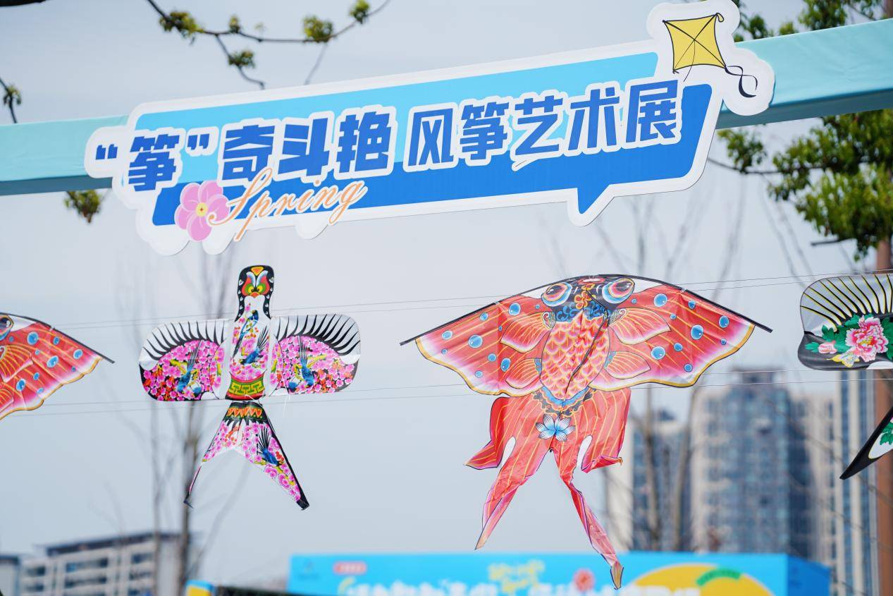 DSC06965